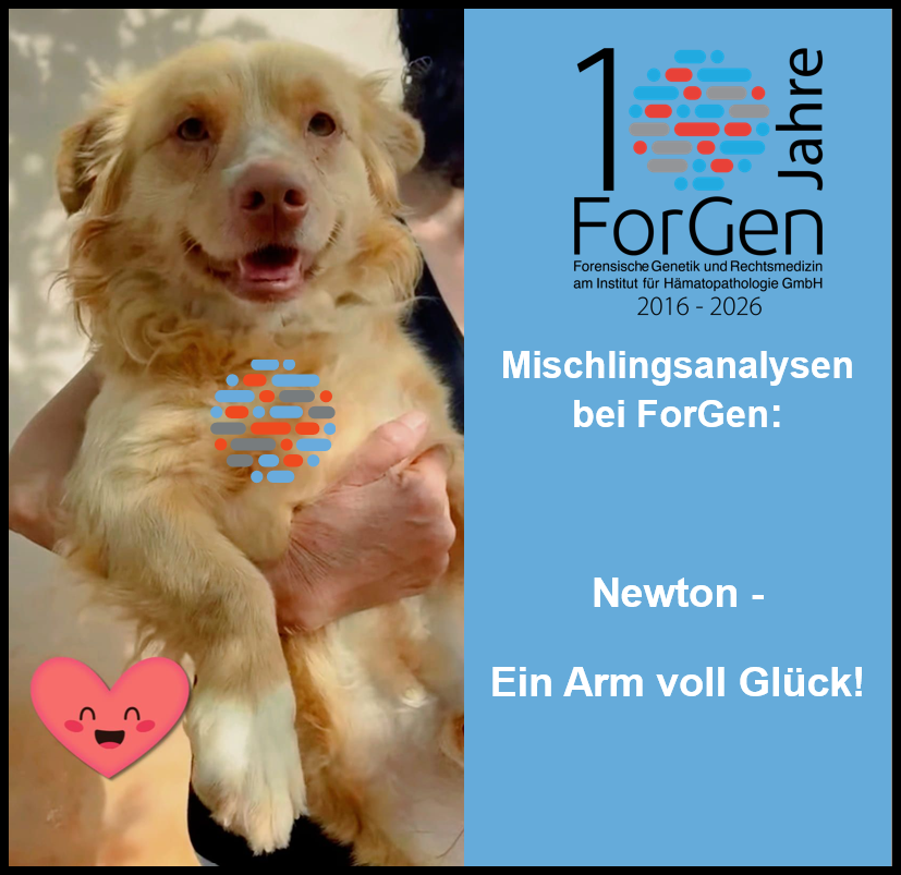 Hund Newton